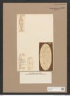 Diatomeae indet. Zeichnungen Sammlung Grunow Nr. 1435 (NHMW-BOT-W0368416)